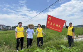 田间党旗红 农险暖三农——中国人寿财险上饶市中心支公司扎实做好农险理赔服务